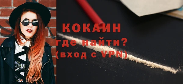 твердый Арсеньев