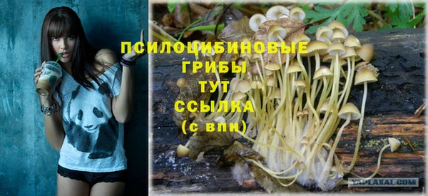 твердый Арсеньев