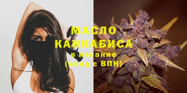 твердый Арсеньев