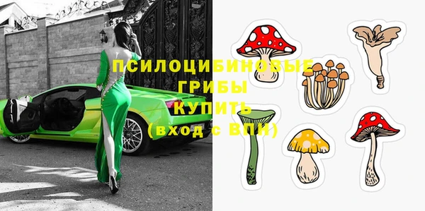твердый Арсеньев