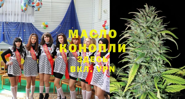 твердый Арсеньев