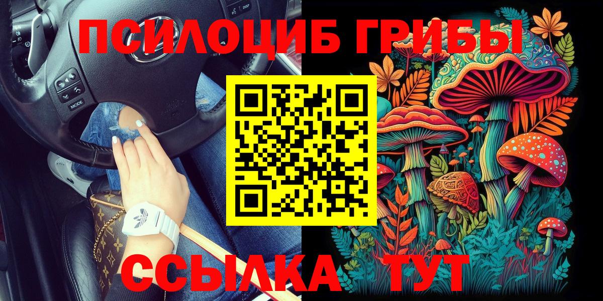 Псилоцибиновые грибы ЛСД Сибай